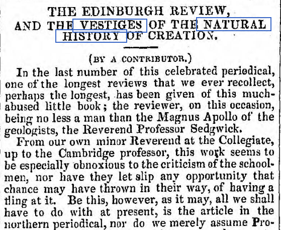 Original Newspaper Clipping